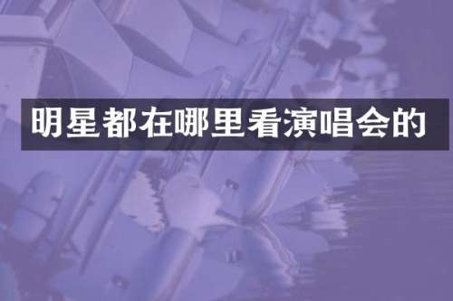 明星都在哪里看演唱会的
