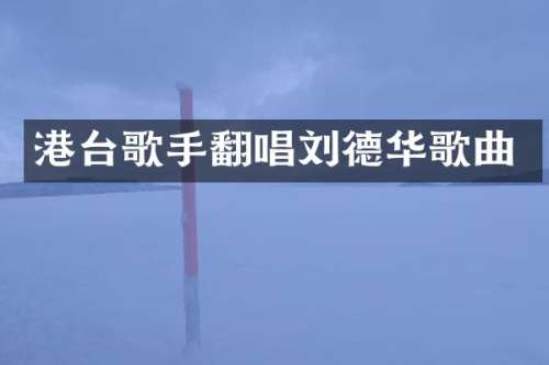 港台歌手翻唱刘德华歌曲