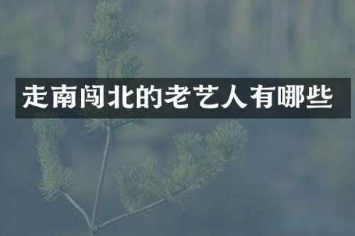 走南闯北的老艺人有哪些