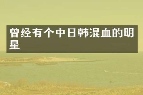 曾经有个中日韩混血的明星