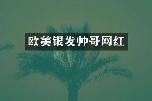 欧美银发帅哥网红