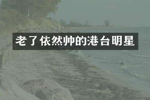 老了依然帅的港台明星