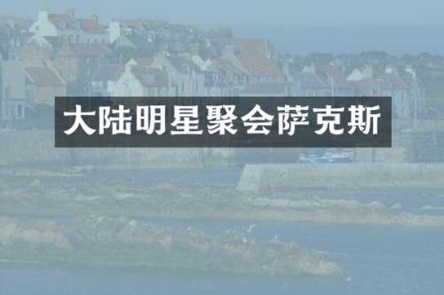 大陆明星聚会萨克斯