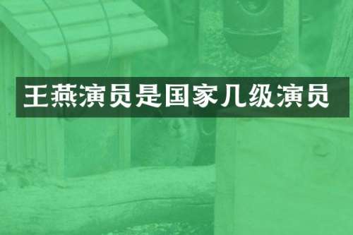 王燕演员是国家几级演员