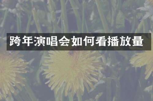 跨年演唱会如何看播放量