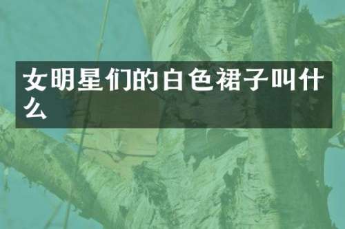 女明星们的白色裙子叫什么