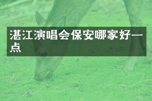 湛江演唱会保安哪家好一点