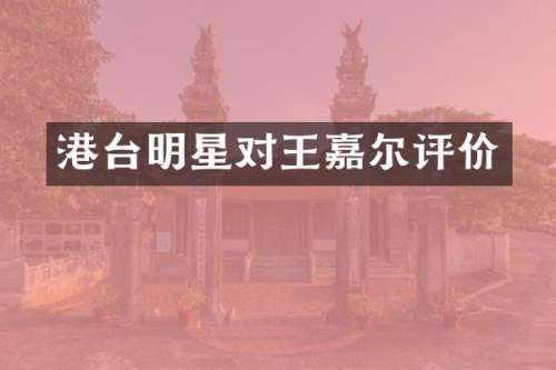 港台明星对王嘉尔评价