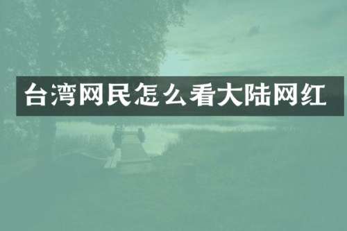 台湾网民怎么看大陆网红
