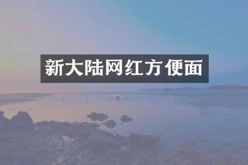 新大陆网红方便面