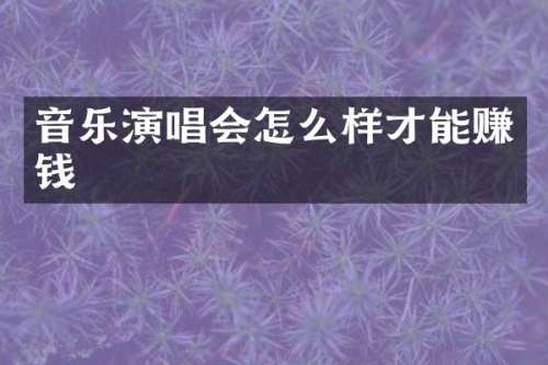 音乐演唱会怎么样才能赚钱