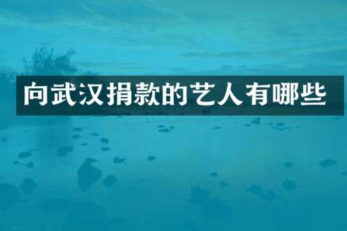 向武汉捐款的艺人有哪些