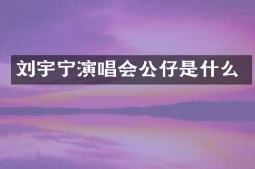 刘宇宁演唱会公仔是什么