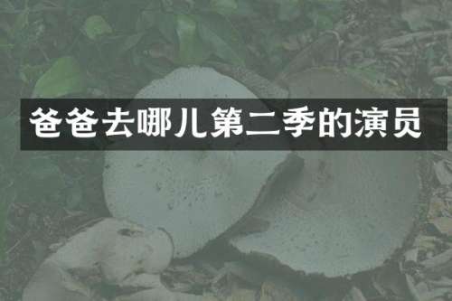 爸爸去哪儿第二季的演员