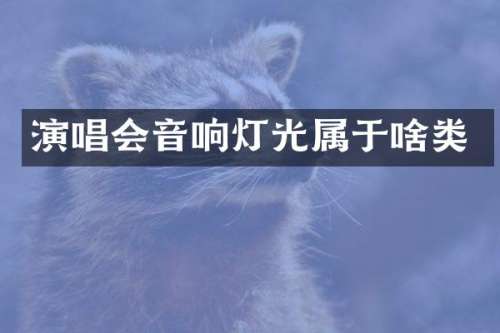 演唱会音响灯光属于啥类