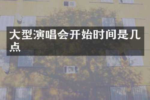 大型演唱会开始时间是几点