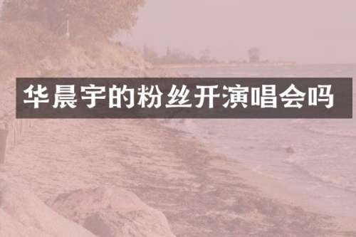 华晨宇的粉丝开演唱会吗