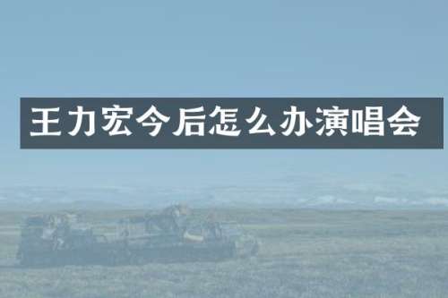 王力宏今后怎么办演唱会