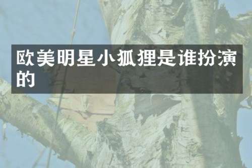 欧美明星小狐狸是谁扮演的