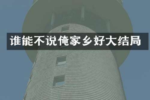 谁能不说俺家乡好大结局