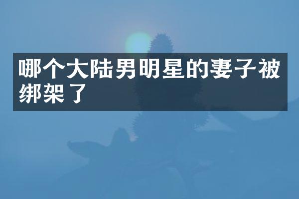 哪个大陆男明星的妻子架了