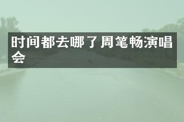 时间都去哪了周笔畅演唱会