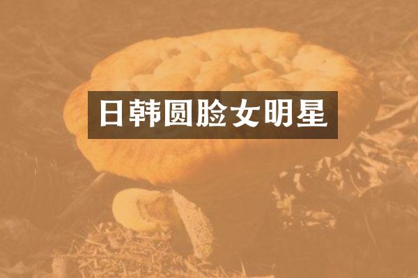 日韩圆脸女明星
