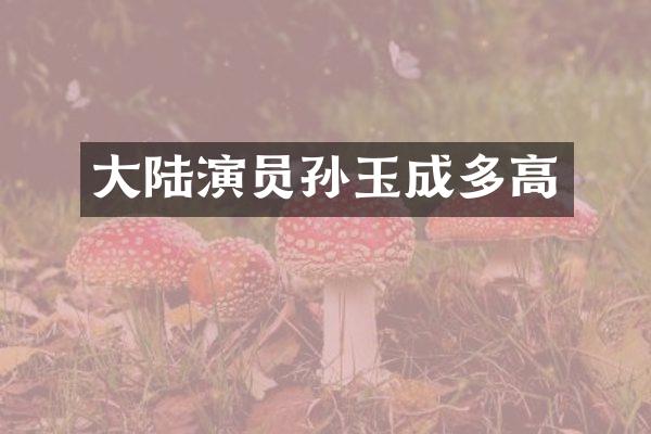 大陆演员孙玉成多高