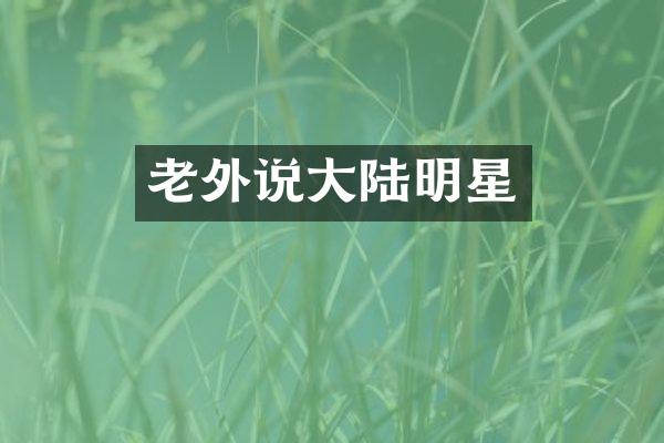 老外说大陆明星
