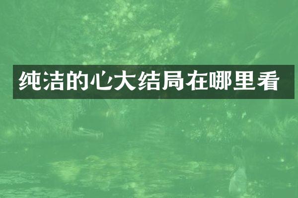 纯洁的心大结局在哪里看
