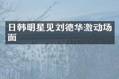 日韩明星见刘德华激动场面