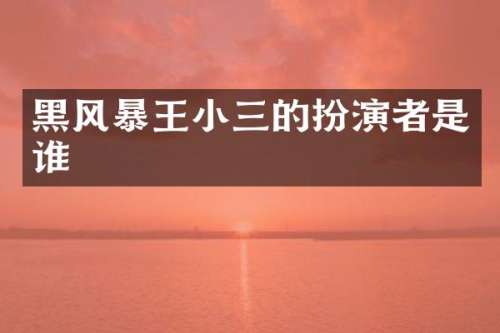 黑风暴王的扮演者是谁