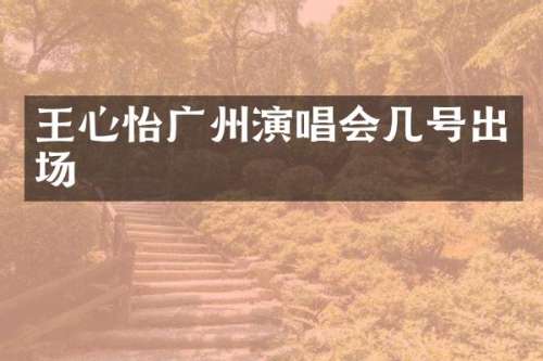 王心怡广州演唱会几号出场