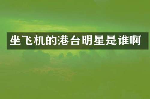 坐飞机的港台明星是谁啊