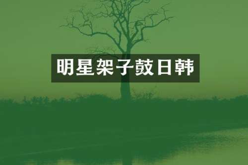明星架子鼓日韩