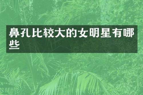 鼻孔比较大的女明星有哪些