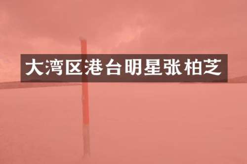 大湾区港台明星张柏芝