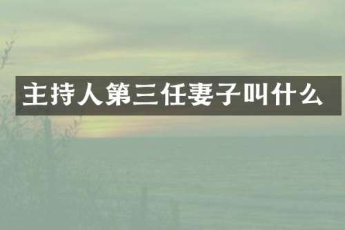 主持人第三任妻子叫什么