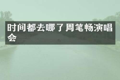 时间都去哪了周笔畅演唱会
