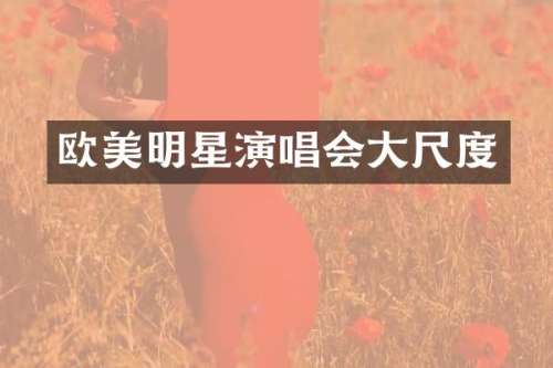 欧美明星演唱会