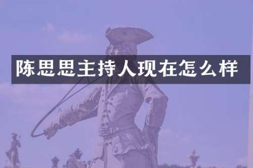 陈思思主持人现在怎么样