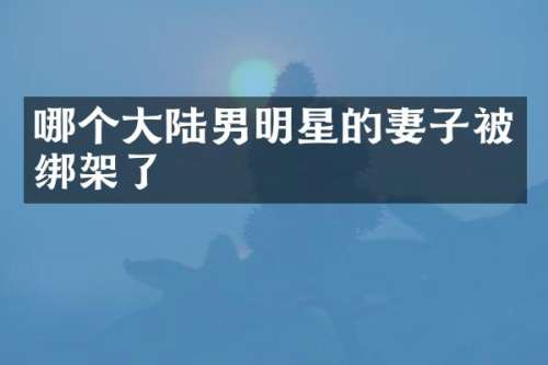 哪个大陆男明星的妻子架了