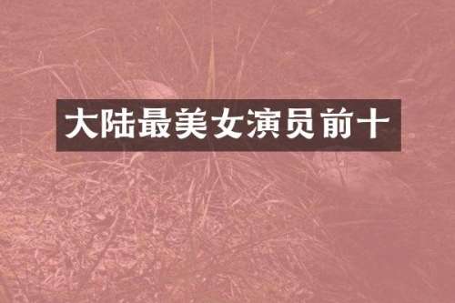 大陆最演员前十