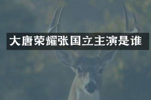 大唐荣耀张国立主演是谁
