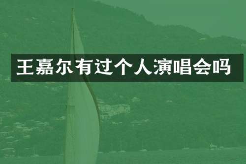 王嘉尔有过个人演唱会吗