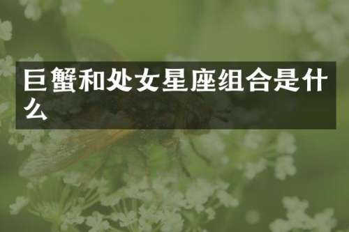 巨蟹和处女星座组合是什么