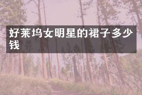 好莱坞女明星的裙子多少钱