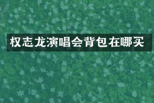 演唱会背包在哪买
