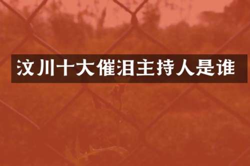 汶川十大催泪主持人是谁