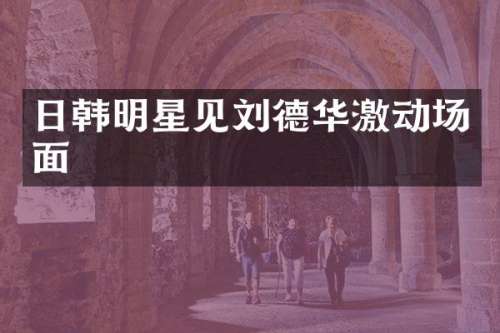 日韩明星见刘德华激动场面